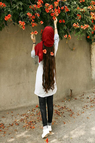 Blossoms of Tradition: An Iranian Girl's Grace