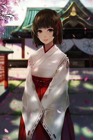 Elegance in Tradition: The Kimono Experience 🌸