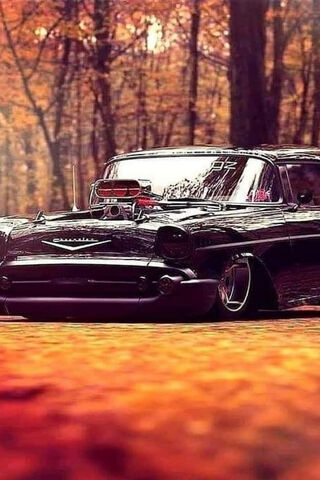 Sleek and Low: The Art of Slammed Rides 🚗✨