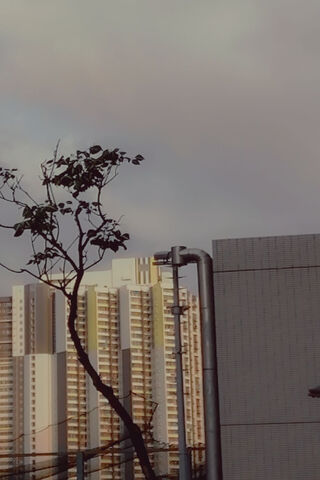 Urban Serenity 🌆🌿