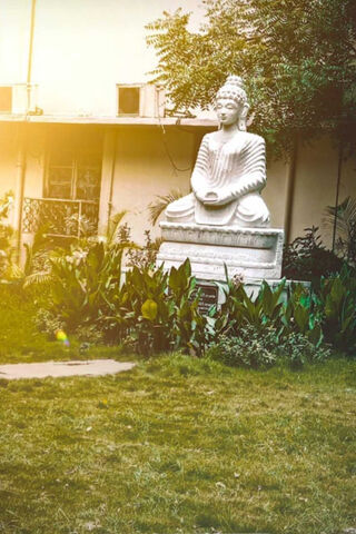 Serenity in Stillness 🌿🧘 ️