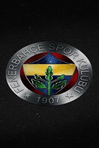 Fenerbahçe: A Legacy of Passion and Pride ⚽️💛💙