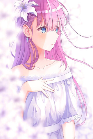 Whispers of Spring: Kirisu Mafuyu 🌸✨