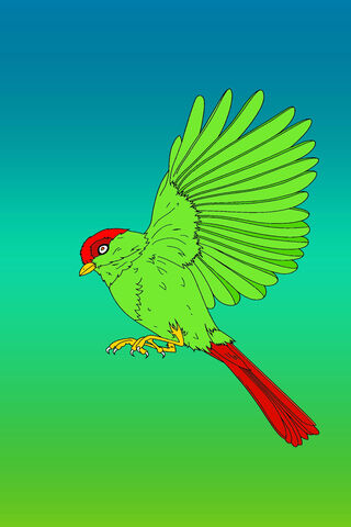 The Vibrant Flier: Nature's Palette 🎨🐦