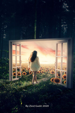 Gateway to Dreams 🌅✨