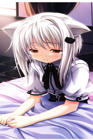 Koneko