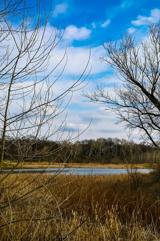 Tranquil Waters: A Nature Escape 🌿🌊