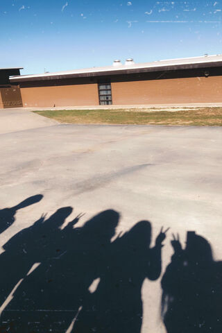 Shadows of Friendship 🌟