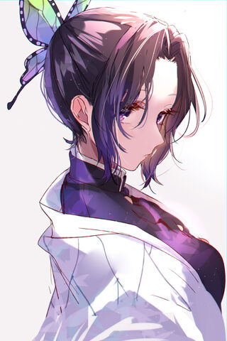 The Enigmatic Butterfly: Shinobu Kocho