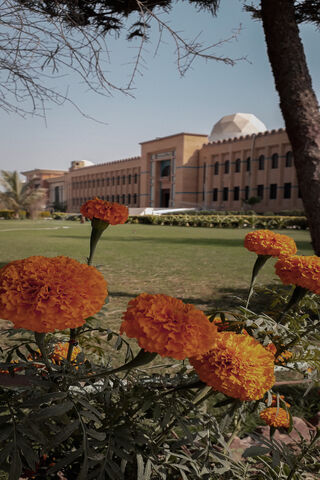 Blooming Beauty at the Institute 🌼🏛️