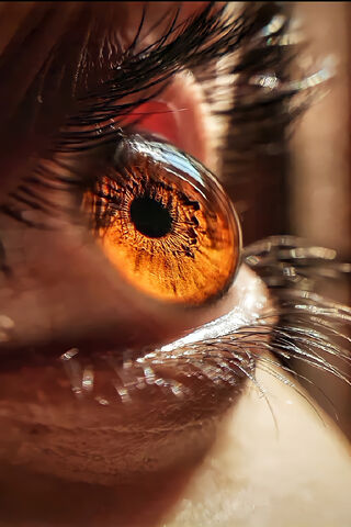Glimmering Gaze: The Beauty of the Eye 👁️✨