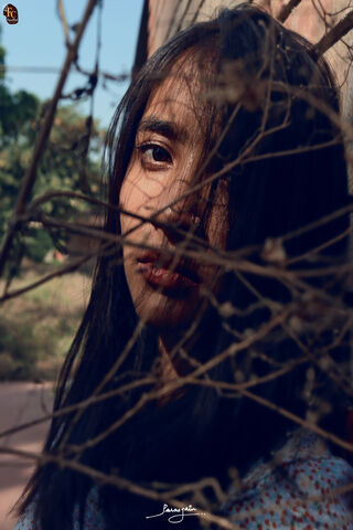 Whispers of Nature 🌿