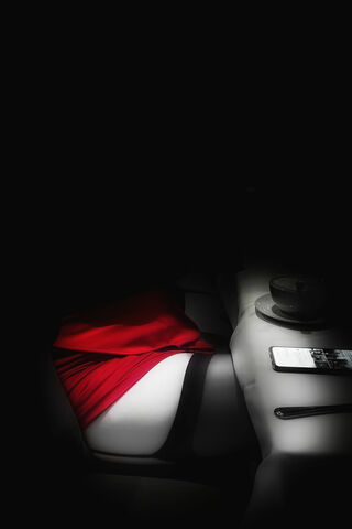 Elegance in Shadows