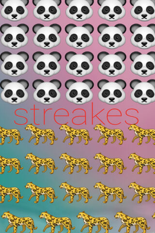 Panda Playtime with a Wild Twist! 🐼✨