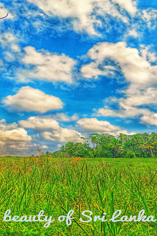 Serene Landscapes of Sri Lanka 🌾☁️