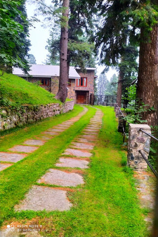 Tranquil Retreat: The Charming Farmhouse Escape 🌲🏡