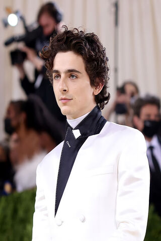 Timothée Chalamet: A Star at the Met Gala 🌟