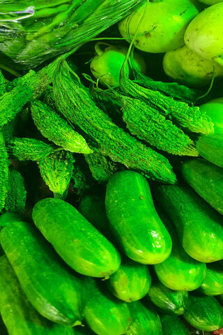 Green Goodness: A Bounty of Fresh Vegetables 🥒🌿