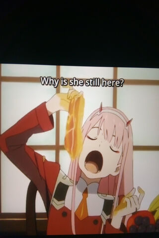 Zero Two