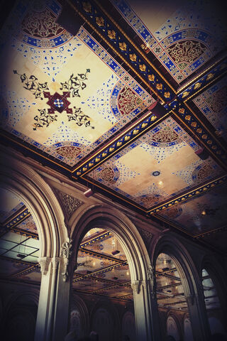 Majestic Ceilings: A Glimpse into Architectural Splendor