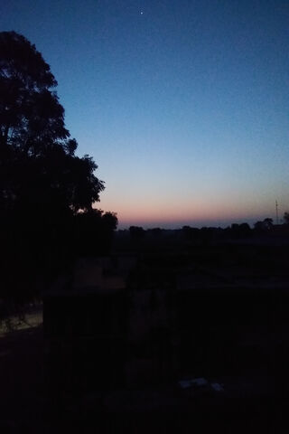 Nature's Twilight Symphony 🌅