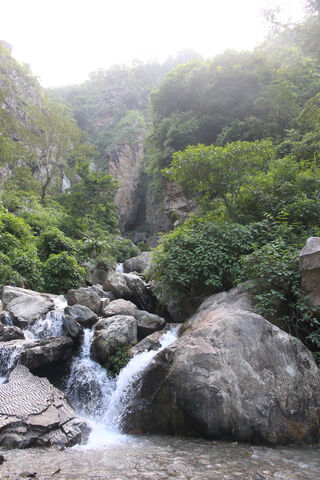 Serenity in the Wilderness 🌿💧