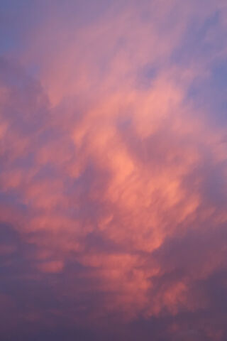 Dreamy Dusk Hues 🌅