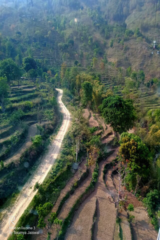Terraced Treasures: The Art of Step Farming 🌾🌄