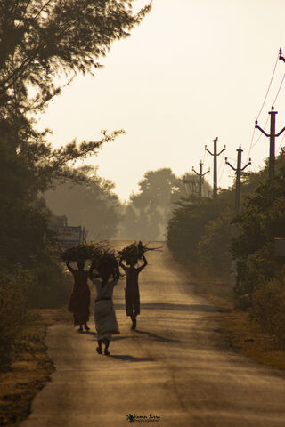 VILLAGE LIFE