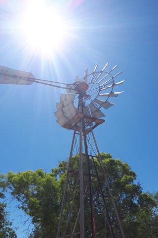 Whirling Wonders: The Heart of the Prairie 🌾✨