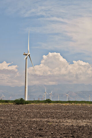 Harnessing Nature's Power: The Windmill Revolution 🌬️💨