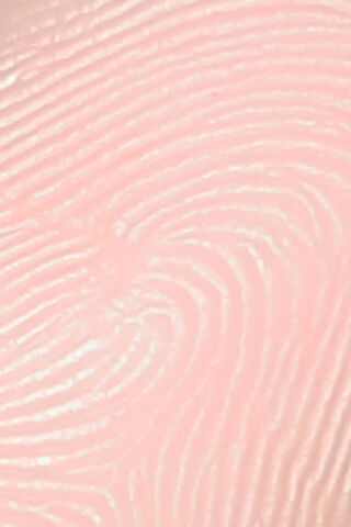 Finger Print