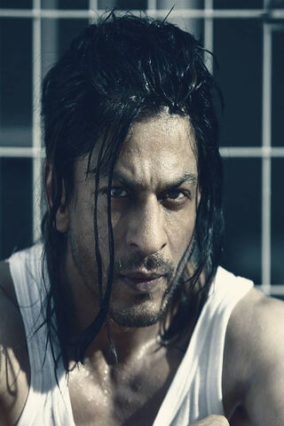 The Intensity of Don 2: A Mastermind's Gaze