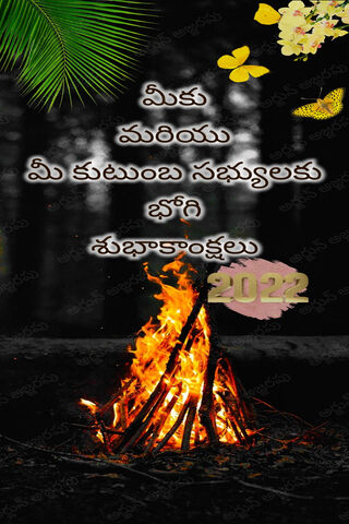 Celebrating Bhogi: A Festival of New Beginnings 🌼🔥