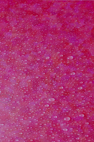 Glistening Pink Paradise 🌸💧