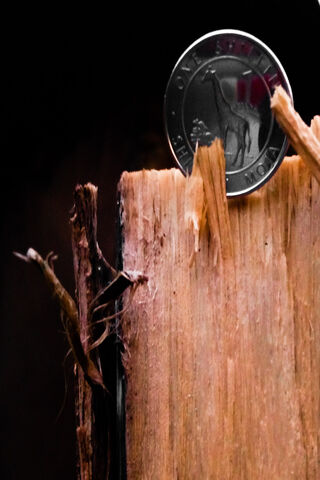 The Kenyan Shilling: A Symbol of Value