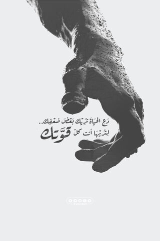 Embrace of Strength: ROCHE DESIGN