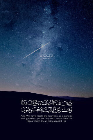 Celestial Wonders: The Roche Design