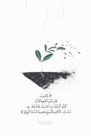 Nurturing Growth: The ROCHE DESIGN Philosophy 🌱