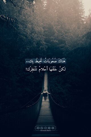 Bridging Dreams: The Roche Design Journey 🌉✨