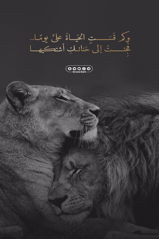 Embrace of the Wild: A Love Story in Nature 🦁❤️