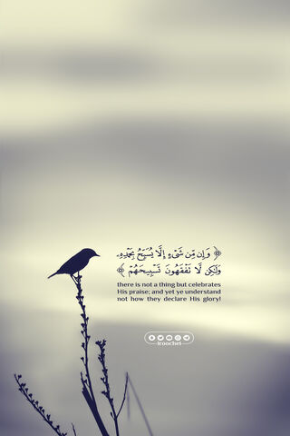 Whispers of Nature: A Tribute to Creation