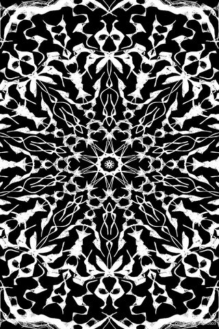 Intricate Thorns: A Dance of Shadows