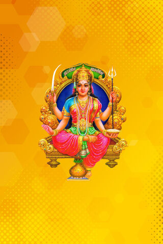 Celebrating Abundance: Laxmi Puja 🌼✨