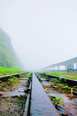 Mystical Journey on the Foggy Rails 🚂🌫️