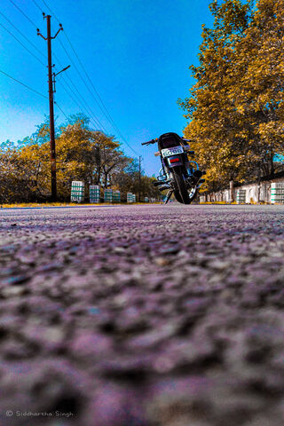 Journey into Splendor