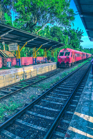 ROCHE DESIGN: A Journey Through Time 🚂🌿