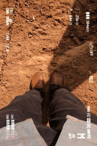 Grounded in Style: A Step into Aesthetic