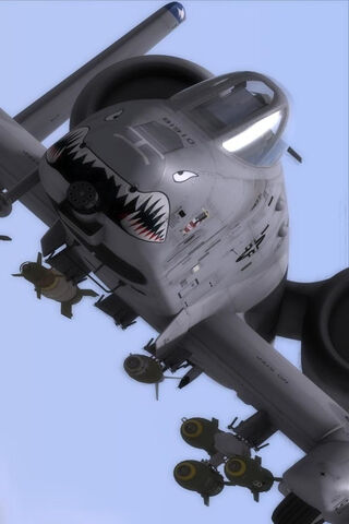 A-10 Thunderbolt Jet