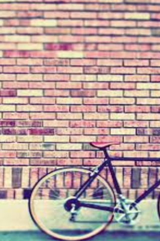 Urban Ride Against a Brick Canvas 🚲🧱